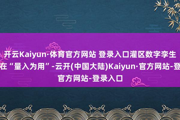 开云Kaiyun·体育官方网站 登录入口灌区数字孪生系统正在“量入为用”-云开(中国大陆)Kaiyun·官方网站-登录入口
