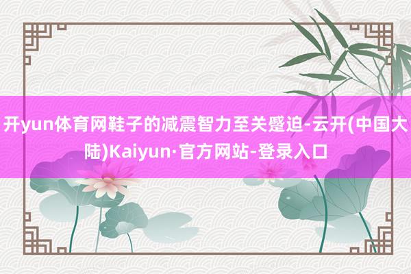 开yun体育网鞋子的减震智力至关蹙迫-云开(中国大陆)Kaiyun·官方网站-登录入口