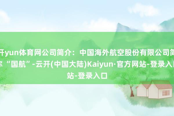 开yun体育网公司简介：中国海外航空股份有限公司简称 “国航”-云开(中国大陆)Kaiyun·官方网站-登录入口